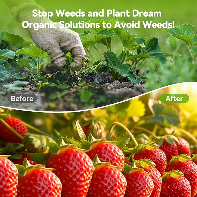 6ftx300ft Weed Barrier Landscape 3.2oz Fabric Heavy Duty, Woven Weed Control Cloth, Woven Geotextile Fabric for Underlayment, Gardening Ground, Commercial Driveway Weed Block Cover Mat