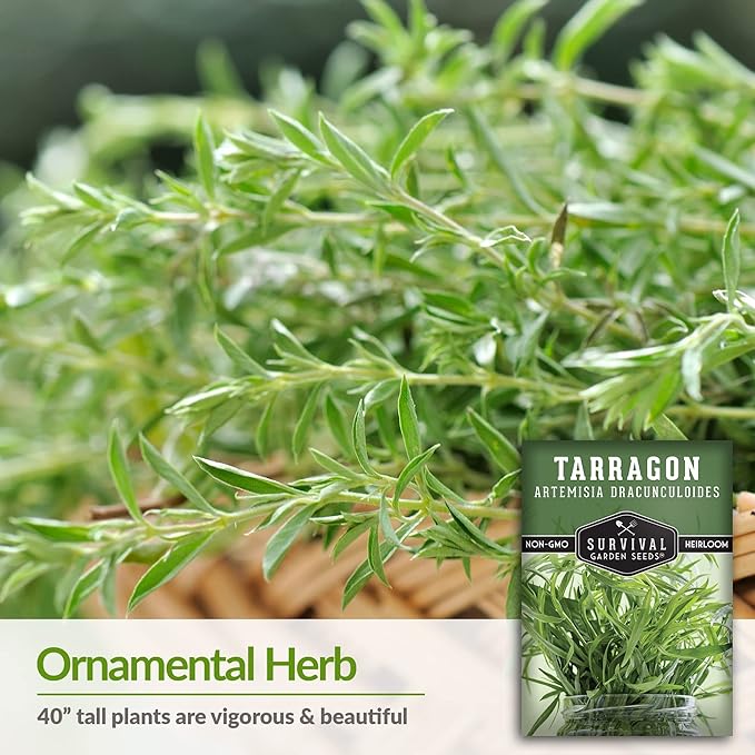 Survival Garden Seeds - Russian Tarragon Seed for Planting - 5 Packs with Instructions to Plant and Grow Big Flowering Herbs in Your Home Vegetable Garden - Non-GMO Heirloom Variety