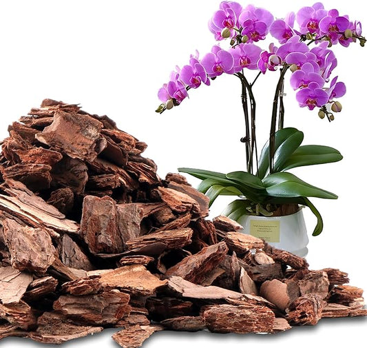AVALUTION Orchid Potting Bark-29QT Organic Orchid Bark for Plants, All Natural Pine Bark Wood Chips for Houseplant Mulch, Orchid Plants Root Development, Mulch for Potted Plants