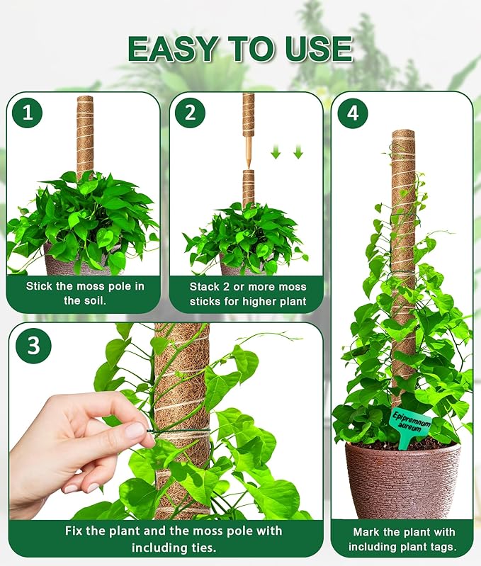 EAONE Moss Pole 126 Inch, 6 Pack 21" Monstera Plant Support for Climbing Potted Live Plants Indoor, Stackable Coco Coir Moss Sticks Monstera Stakes for Pothos Philodendron, with Garden Labels & Ties