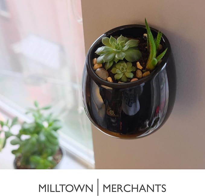 Milltown Merchants Succulent Wall Planter - Black Ceramic Mounted Vase - Plant Pot for Living Wall (1 Pack/Modern/Black)