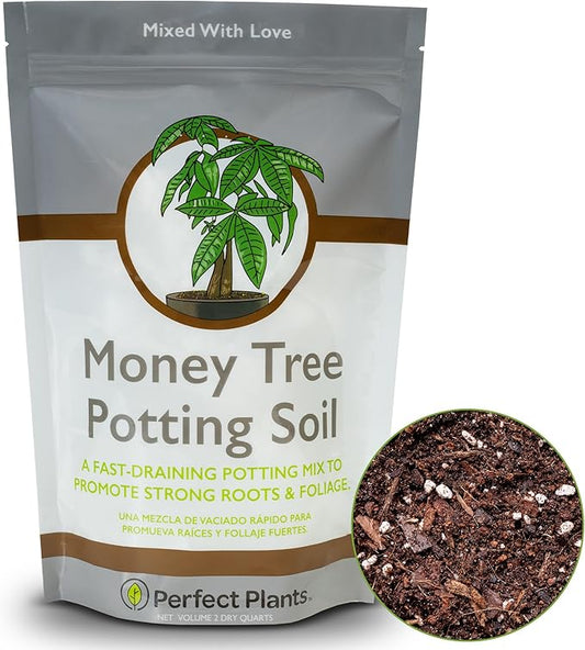 Perfect Plants Money Tree Potting Soil 2qt | Organic Coco Coir Based Plant Mix for Indoor Trees | Quickly Grow Your Indoor Forest (2qts.)