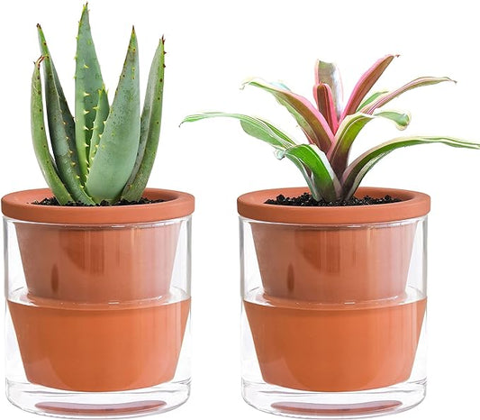 D'vine Dev 4 Inch Design Self Watering Pot for Indoor Plants, Terracotta Planter with Cylinder Glass Cup, Set of 2, 37-X-A-2