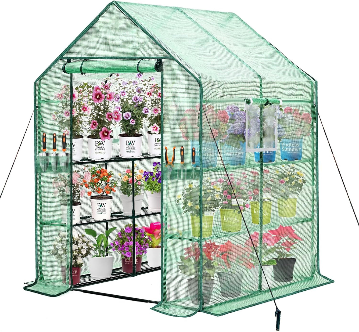 Walk-in Greenhouse w/ Roll-Up Zipper Door & Screen Windows-3 Tiers 12 Shelves 56x56x76“ PE Greenhouse for Outdoor Gardening Plants Cold Frost Protection Wind Rain Proof(PLGHW002G-N)