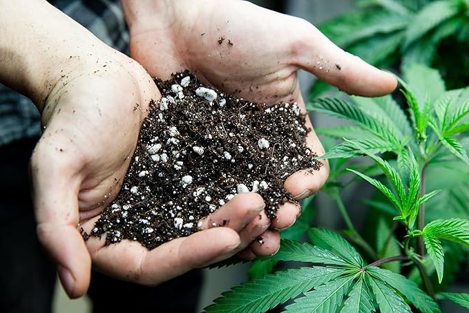 Organic Autoflower Plants Potting Soil Mix - Perfect Balance of Nutrients, Drainage, and Aeration for Thriving Autoflower Plants- 1 Quart