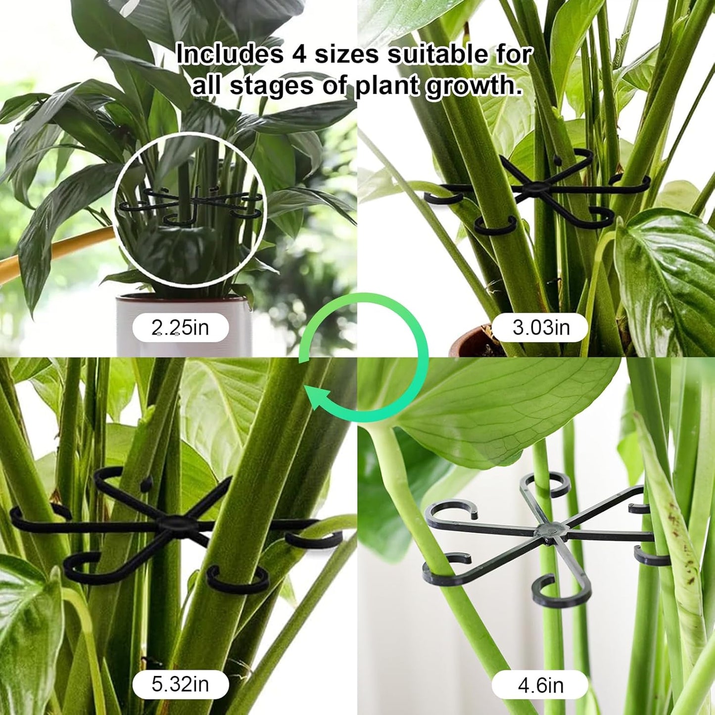 6pcs Climbing Houseplant Stem Supports,Plant stem Support Indoor Outdoor Use,Stem Hook Growth Accessories for Plant Garden, Promotes Upright Growth and Airflow(Black)