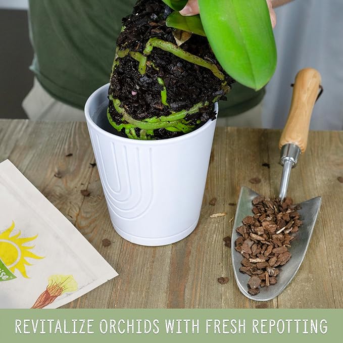 100% Organic Orchid Potting Bark (8 Quarts), All-Natural USA-Sourced Pine Bark Orchid Mix Additive