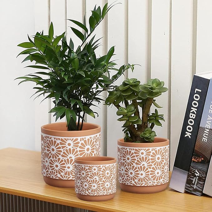 3 Piece Ceramic Plant Pots, 5.7/4.7/3.5/inch Planters with Drainage Hole, Outdoor Indoor Flower Pots Set, Modern Decorative Plant Pots for Lilies, Cacti, Succulents, Snakes, Bamboo(Red)