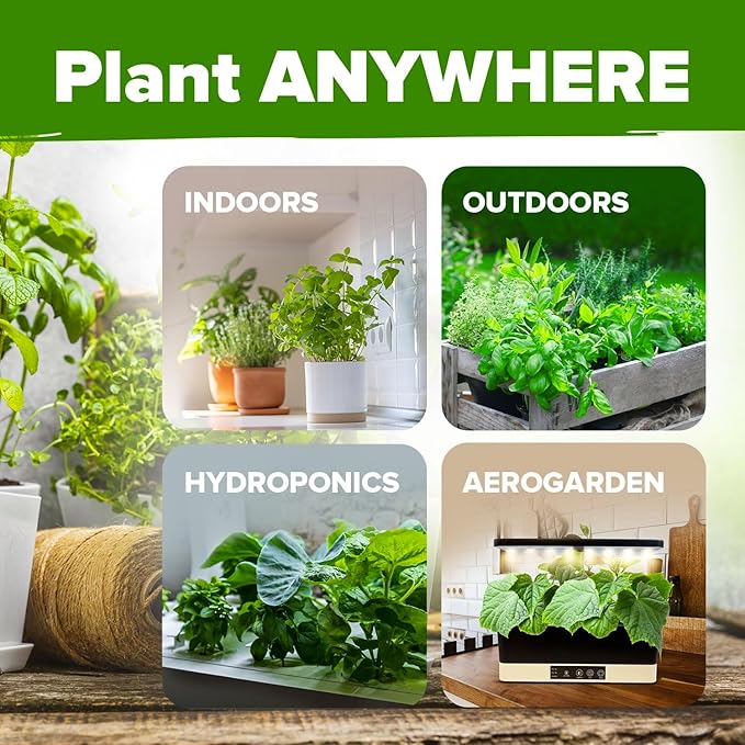 HOME GROWN 6 Herb Seeds Variety Pack – Plant an Indoor or Outdoor Herb Garden: Basil, Lavender, Cilantro, Parsley, Thyme and Oregano Seeds – 3200+ Non-GMO Heirloom Herb Seeds – Bonus Markers