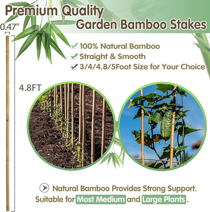 Bamboo Stakes,4.8FT Natural Bamboo Garden Stakes,BOVITRO 20Pcs Bamboo Plant Stakes,Bamboo Sticks for Tomato,Beans,Vegetable and Climbing Plants
