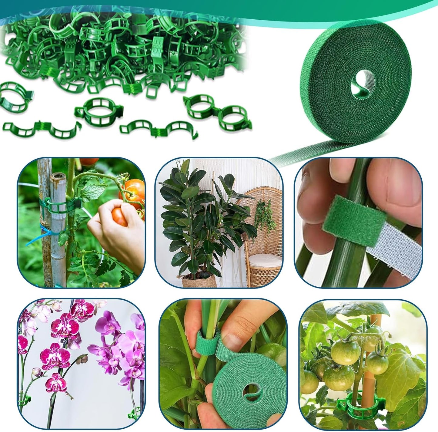 5pack Stackable Monstera Support Frame Set Indoor Outdoor Plant Gardening Supports Ideal for Climbing Plants, Potted Plants, and Other Horticultural Accessories