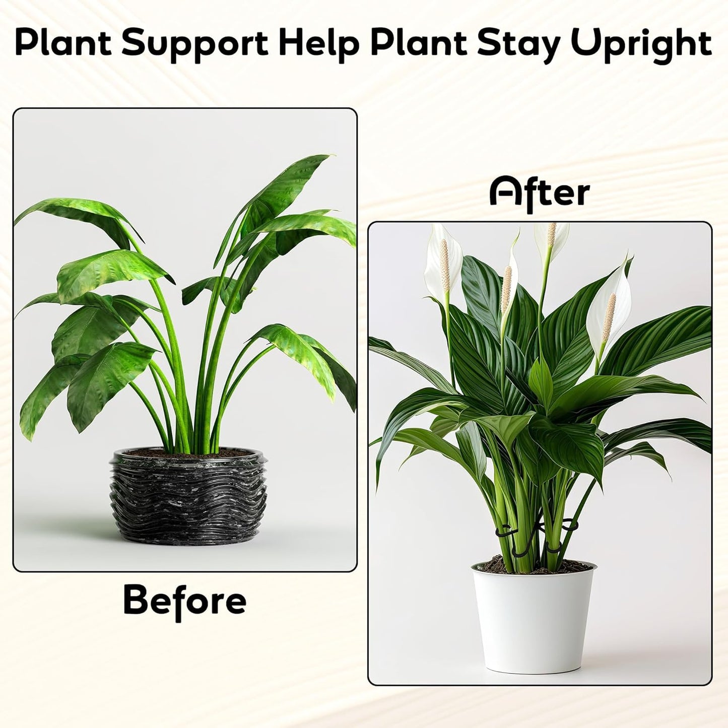 Plant Stem Support Set, 8Pcs 4 Sizes Plant Trellis Rings for Climbing Plants Indoor, Support Holder Ring for Different Growth Stages, Climbing Houseplant Trellis for Potted (Black)