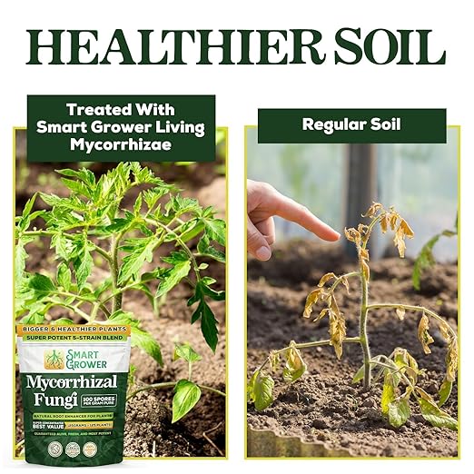 Mycorrhizal Fungi Organic Root Enhancer for Plants, Super Potent 100 Spores Per Gram, 5-Strain Blend, Rapid Results for Gardens, Houseplants, Lawns, Smart Grower 250 Grams (2 Pack of 125G)