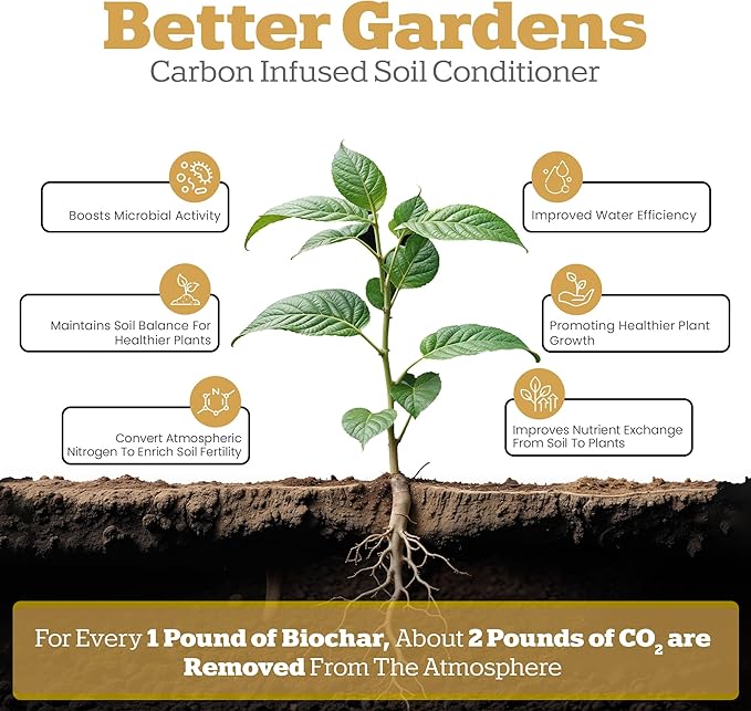 Blend for Cactus & Succulent – Premium Organic Cactus Soil with CarbonBoost Technology for Enhanced Growth – Specialized Soil Mix for Succulents Indoor Plants – 2 Quarts