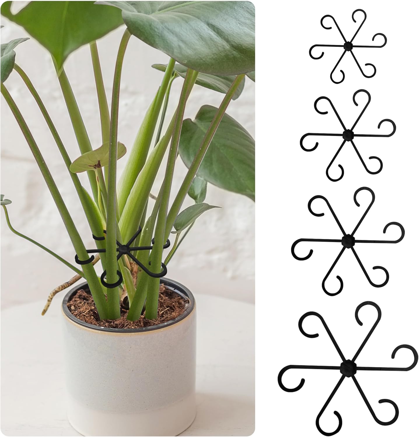 Plant Stem Support Set, 8Pcs 4 Sizes Plant Trellis Rings for Climbing Plants Indoor, Support Holder Ring for Different Growth Stages, Climbing Houseplant Trellis for Potted (Black)