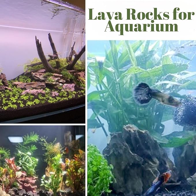 18LB Black Lava Rocks for Plants, Volcanic Rock Horticultural Lava Rock Soil for Landscaping Plants Drainage, Small Lava Rock Gravel for Succulents, Bonsai, Vase Fillers, Top Dressing