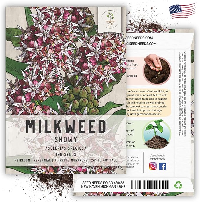 Seed Needs Showy Milkweed Seeds for Planting - Untreated & Open Pollinated, Attracts Monarch Butterflies in a Butterfly Garden (5 Packs)