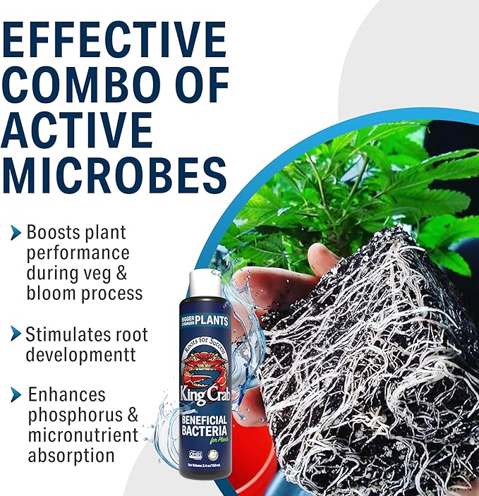King Crab Instant Compost Tea, Root Stimulator for Plants, Ultra Concentrated OMRI Organic Bacteria, 275 Million Organisms per ml, Roses, Tomatoes, Houseplants, Soil Conditioner, Soil Microbes