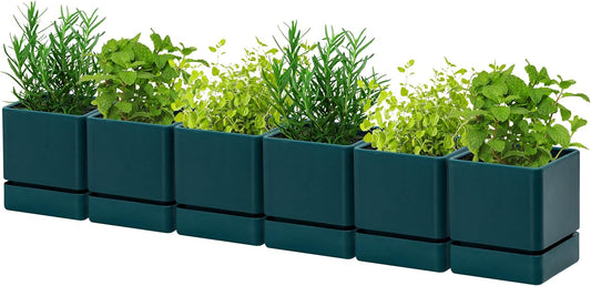 4 Inch Herb Planter Pot, Plastic Planter with Drainage Holes and Saucer, Modern Decorative Gardening Pot for Indoor Plants, Flowers, Herbs, Succulents, Green, Set of 6, 76-Y-C-6
