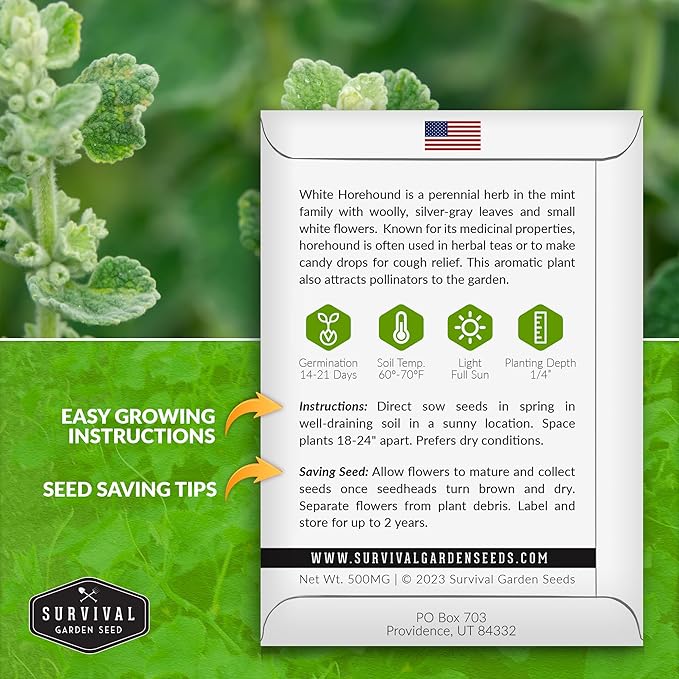 Horehound Seed for Planting - 5 Packets with Instructions to Plant and Grow Beneficial Marrubium Medicinal Herbs in Your Home Vegetable Garden - Non-GMO Heirloom Variety - Survival Garden Seeds