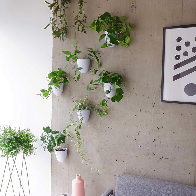 PlantPod Luxe Self-Watering Wall Planters (Set of 3) - Easy to Water and Install - Lightweight - Design Your Own Vertical Garden - Wall Planters for Indoor Plants