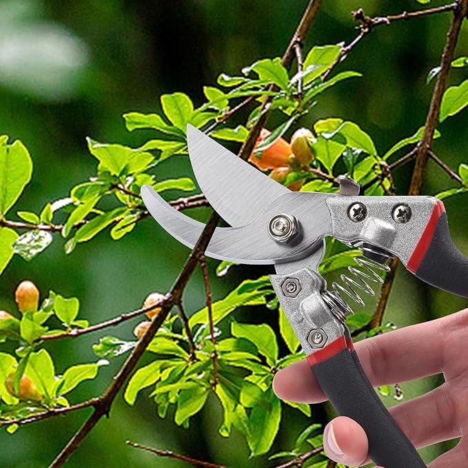 Garden Pruning Shears Set - 2 Pack, 1 Bypass Pruner+1 Straight Blade Scissors,Garden Shears Clippers, Hand Tools Scissors Loppers,Cutting Shears Garden,Hedge Clippers, Rose Pruning Shears