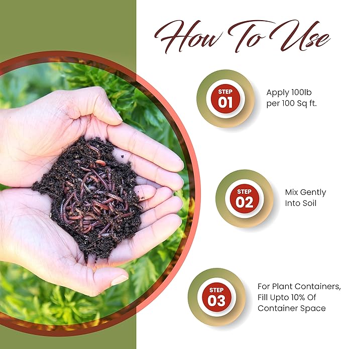 Worm Bliss (2 Gallons) - Organic Worm Castings for Plants - OMRI-Listed Earthworm Castings Worm Fertilizer - Worm Castings Organic Fertilizer for Plants, Potting Soil, Garden Soil, & Seed Starter Soil