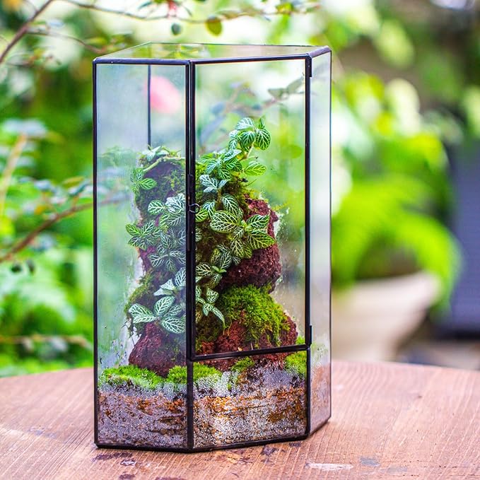 NCYP Wall Corner Geometric Glass Terrarium, Closed Front Opening Door Container Planter for Succulents, Small Plants - Black, Indoor Decor, Tabletop Landscape, 6.1" x 6.1" x 11.8" (Terrarium Only)