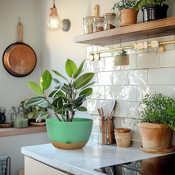 8 Inch Pots for Indoor Plants, Self Watering Planters with Drainage and Saucers, Plastic Outdoor Flower Pot, Set of 2, Green