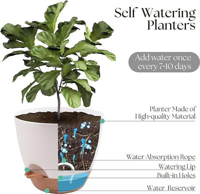 Giraffe Creation Plant Pots Set of 3 (12/10/9 inch), Self-Watering Indoor & Outdoor Flower Planters with Drainage Hole and Reservoir, White