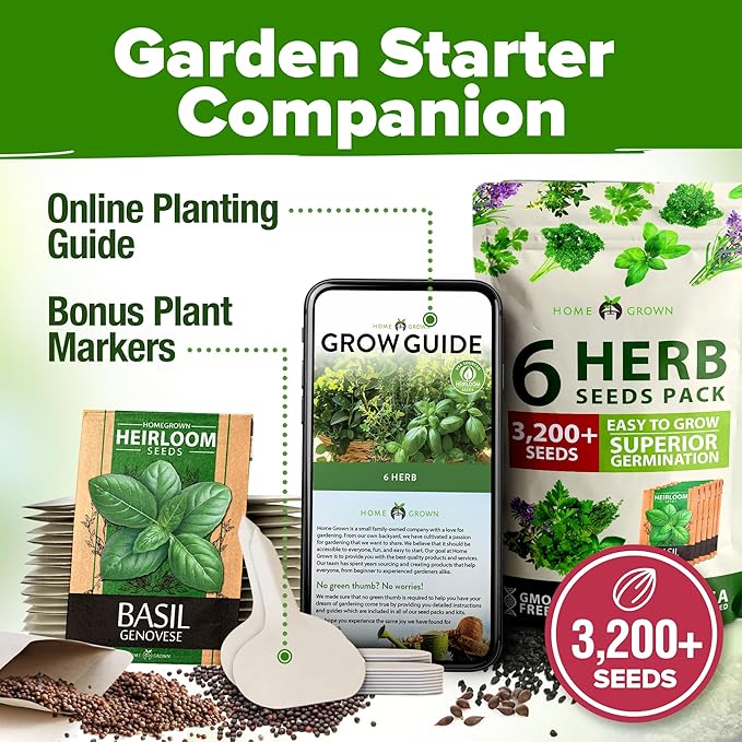 HOME GROWN 6 Herb Seeds Variety Pack – Plant an Indoor or Outdoor Herb Garden: Basil, Lavender, Cilantro, Parsley, Thyme and Oregano Seeds – 3200+ Non-GMO Heirloom Herb Seeds – Bonus Markers