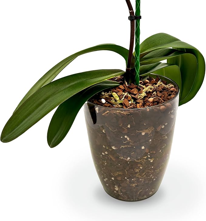 Organic Premium Orchid Soil Mix by Gardenera - Hand Mixed Classic Sphagnum Moss Potting Soil Mix - for Phalaenopsis Orchid - 5 Quart - Made in USA