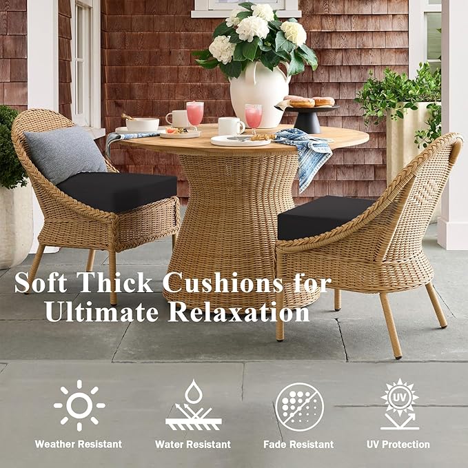 Outdoor Chair Cushions Set of 2, Waterproof Foam Patio Seat Cushions with Ties for Garden Sofa & Dining Furniture, 3-Year Color Fastness, 18x18x3 Inch, Black