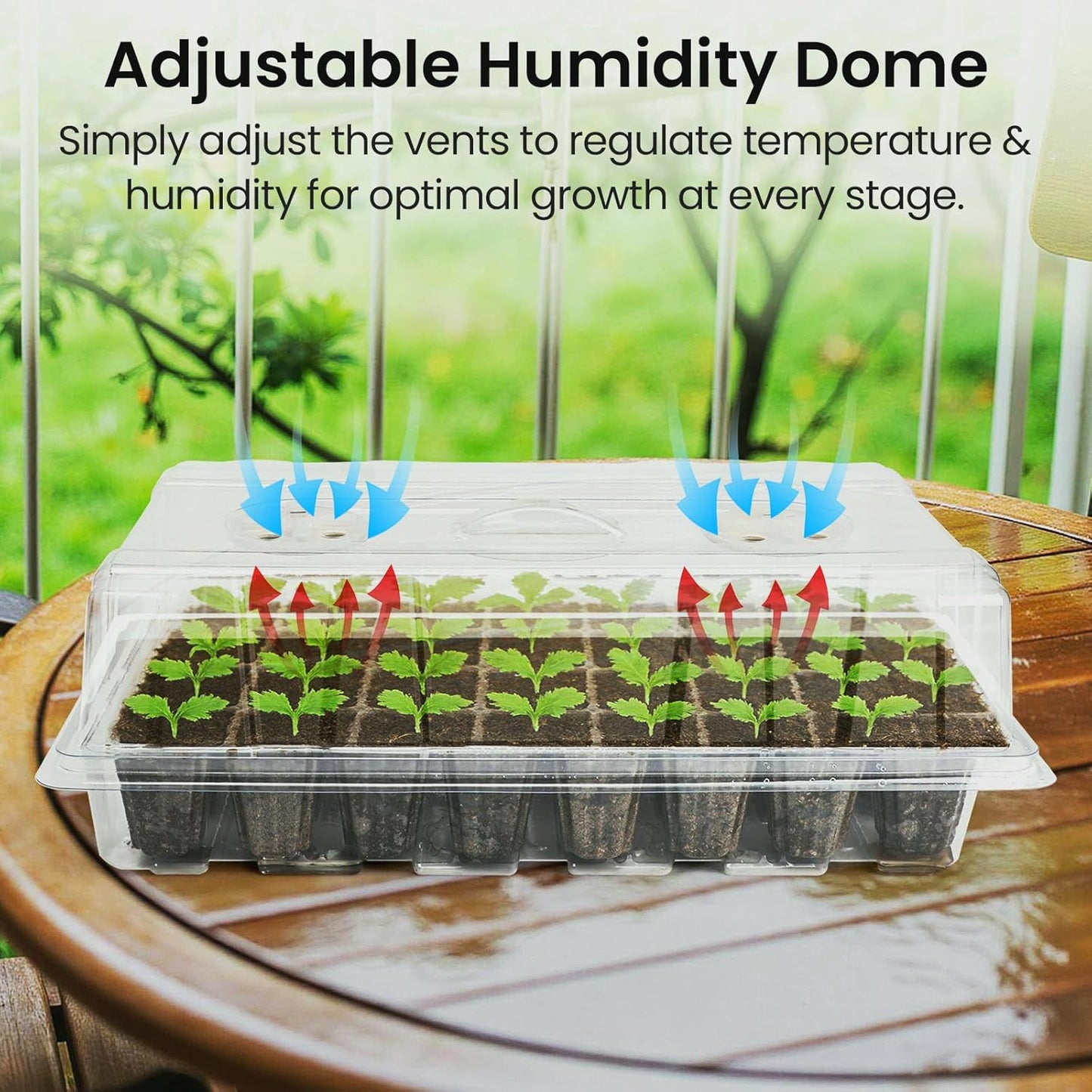 Bonviee 2-Pack Seed Starter Tray with Plant Light, Elevated Seedling Starter Trays Kits with Adjustable Humidity Domes and Clear Cell Tray, 12 Full Spectrum Led Lamp Beads for Plants Indoor-Clear