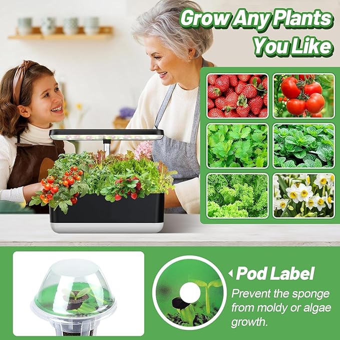 50pcs Hydroponic Grow Sponges for Aerogarden - Seed Sprout Pods Kit with Plant Food, Compatible with Most Indoor Hydroponics Plants Growing System