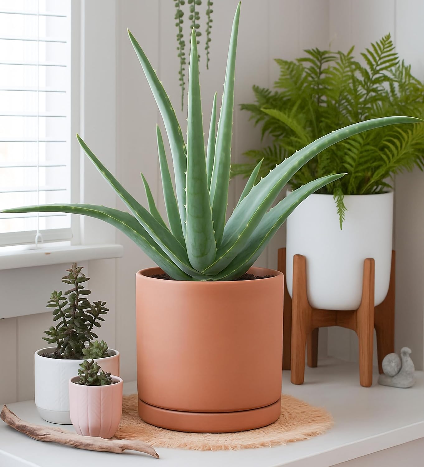 D'vine Dev Medium 8 Inch Terracotta Plant Pot with Drainage Hole and Saucer, Round Cylinder Planter Pot for Indoor Plants, Set of 2, 40-X-B-4