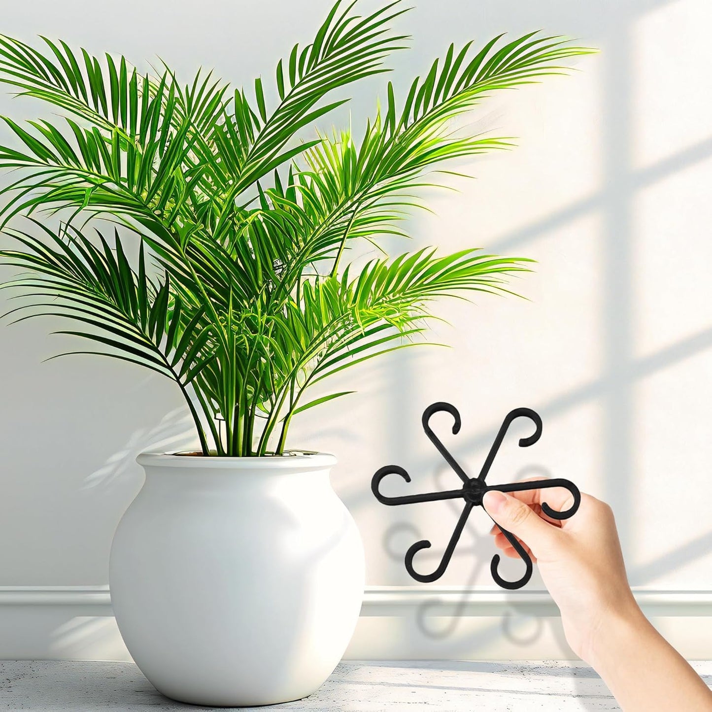 Plant Stem Support Set, 8Pcs 4 Sizes Plant Trellis Rings for Climbing Plants Indoor, Support Holder Ring for Different Growth Stages, Climbing Houseplant Trellis for Potted (Black)