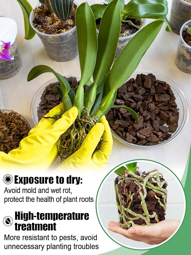 10 Quarts Orchid Potting Bark, Sun-Dried New Zealand Medium Organic Pine Wood Chip Barks for Orchids Mix Plant Compost, Natural Houseplant Mulch for Plant Development