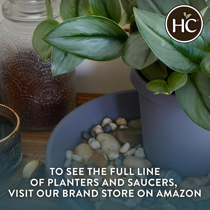 The HC Companies 17 inch Round Classic Planter - Plastic Plant Pot for Indoor Outdoor Plants Flowers Herbs, Chocolate (2 Pack)