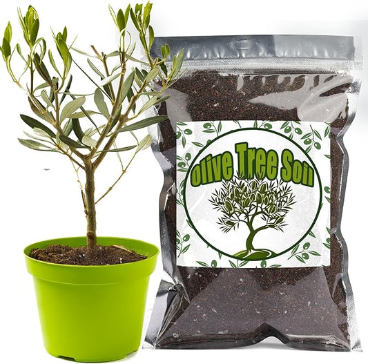 Premium Olive Tree Potting Mix 4qt, Uesed for The Propagation of Olive Trees by Cuttings or Seeds, Suitable for Planting, Repotting, and Growing Houseplant