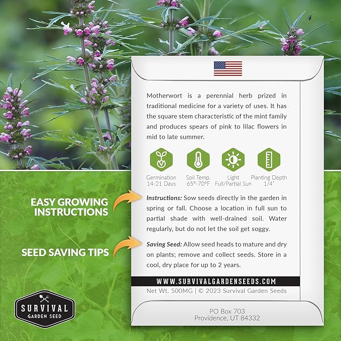 Motherwort Seed for Planting - 5 Packets with Instructions to Plant and Grow Lion's Tail Medicinal Herbs in Your Home Herb Garden - Non-GMO Heirloom Variety - Survival Garden Seeds