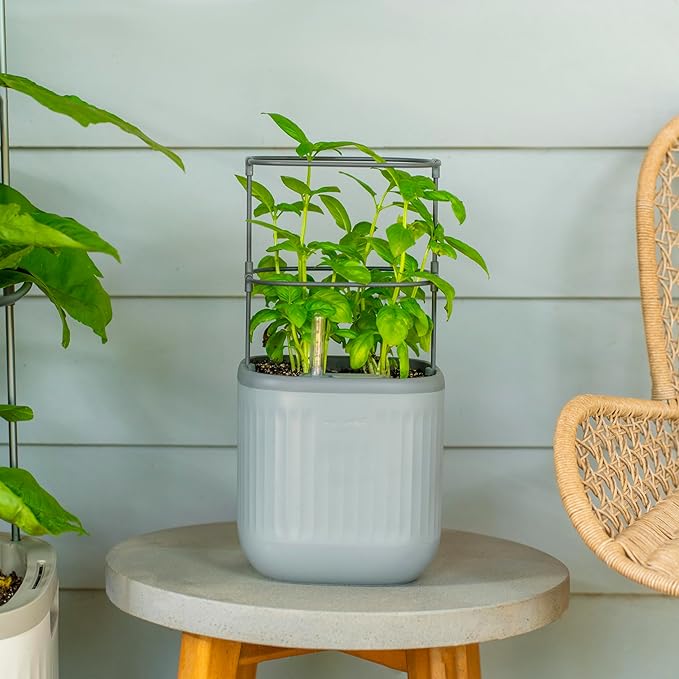 Vego garden Mini Planter Indoor Pots with Trellis Self-Watering Herb Countertop Planter for Climbing Vegetables Flowers Mint Plants Cage 2 Pack- Fog Gray