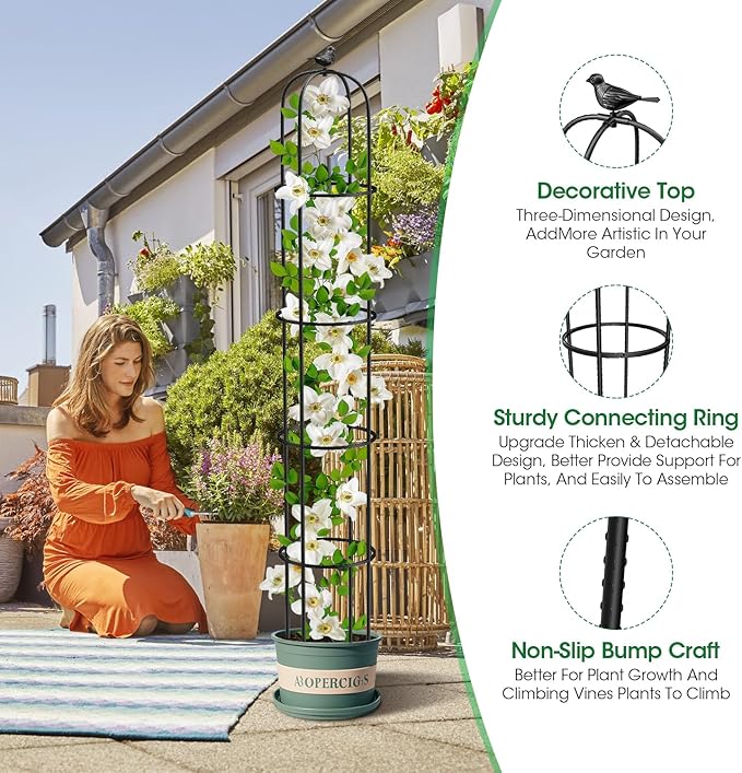 Garden Obelisk Trellis for Climbing Plants Outdoor 6.2 Ft Rose Bush Round Trellis for Pots Rustproof Metal Plant Flower Trellises for Clematis Vine Jasmine Support Outdoor Indoor (Black, 6.2ft)