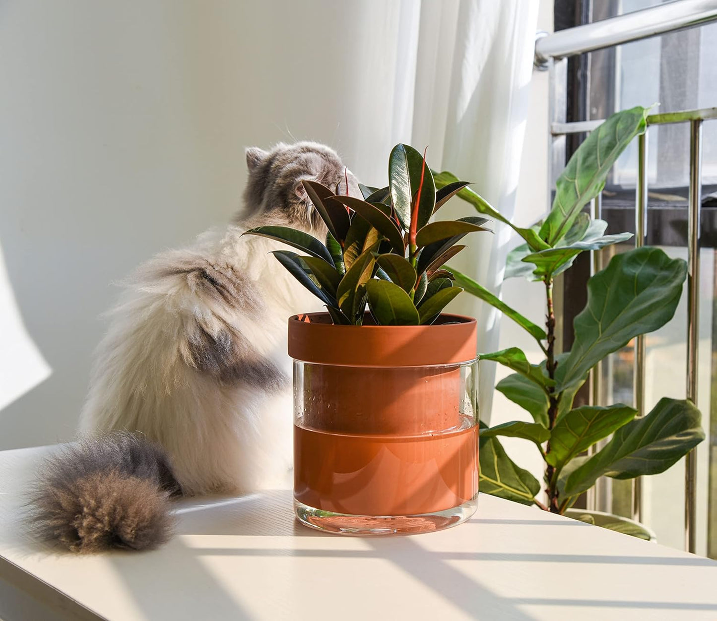 Phoenix Vine 6 Inch Self Watering Planter Pot, Terracotta Clay Pot with Glass Reservoir for Indoor Plants, Herbs, Flowers, Set of 2, 52-A-F-2