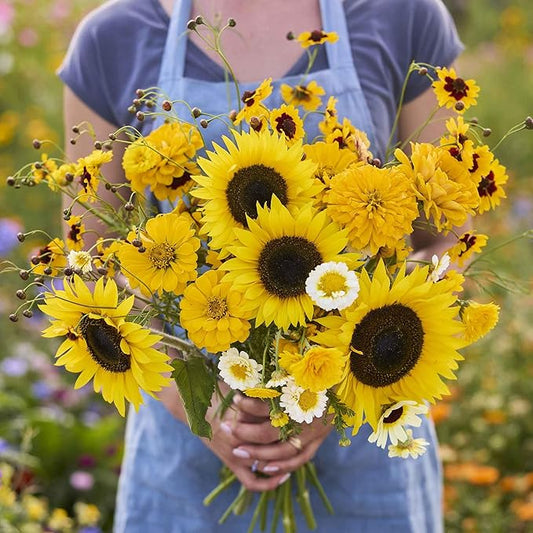 Eden Brothers Mellow Yellow Flower Mixed Seeds for Planting, 1 lb, 480,000+ Seeds with Painted Daisy, Zinnia, Cosmos | Attracts Pollinators, Plant in Spring or Fall, Zones 3, 4, 5, 6, 7, 8, 9, 10