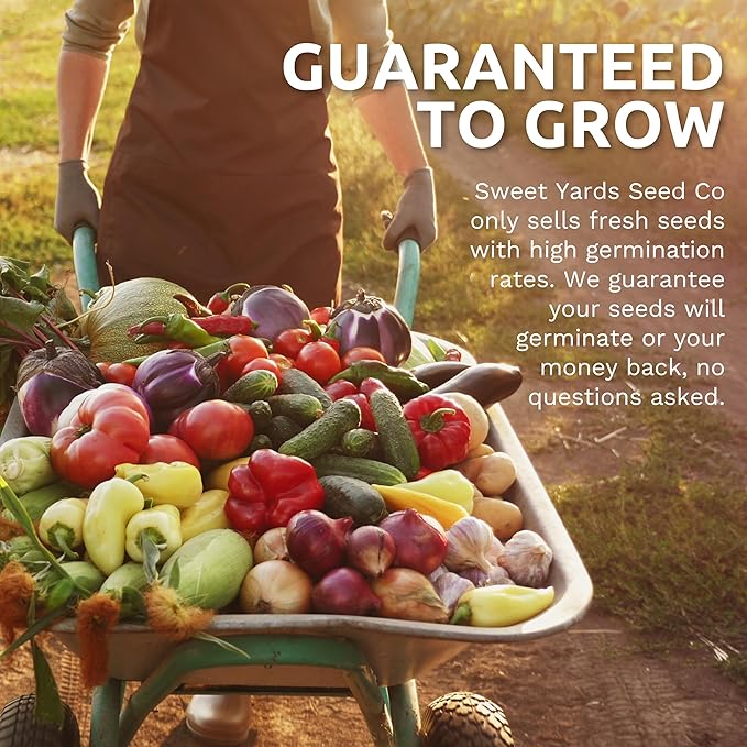 Organic Summer Seeds Variety Pack - 12 Individual Packs - 2025 Season - Basil, Tomatoes, Cucumber, Watermelon and More! for Indoor & Outdoor Planting (Non-GMO, Certified Organic)