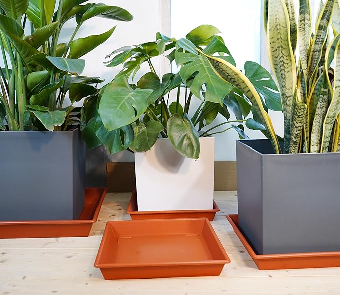 Square Plant Saucer 20 Inch 2 Pack, Large Plant Trays for Pots Heavy Duty Plastic Plant Saucers for Indoors Outdoors, Flower Pot No Holes Terracotta Plant Lover Gardening Gifts