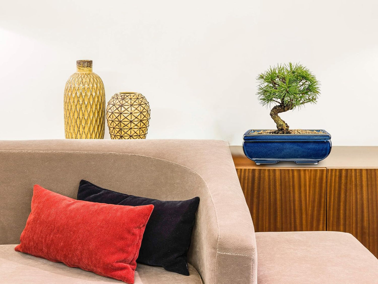 Succulent Planters Bonsai Pots for Live Bonsaii Trees Set of 2, 8.7" Large Ceramic Shallow Pot for Succulents Indoor with Drainage Hole, Outdoor Cactus Plant Bonsai Pots, Ceramic Flower Pot