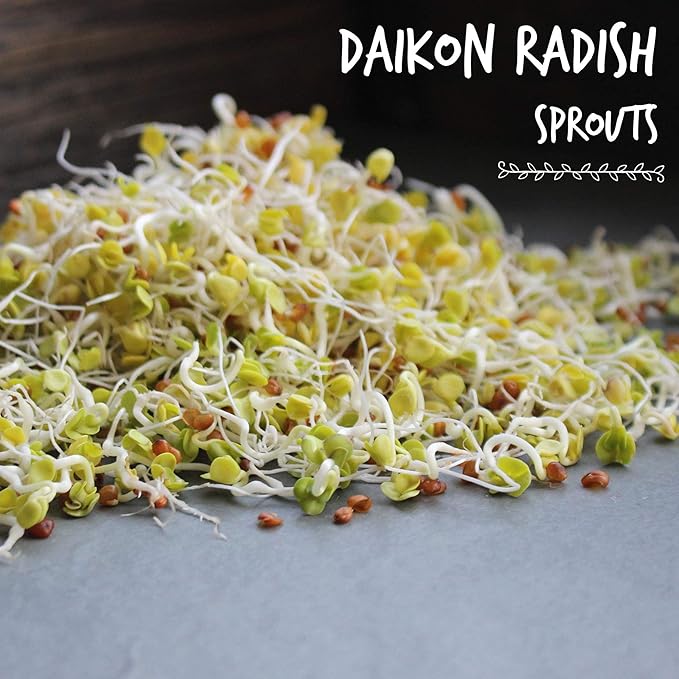 Handy Pantry Organic Radish Sprouting Seeds | 4oz. Non-GMO Daikon Radish Seeds | Radish Seeds For Planting, Sprouting, & Microgreens