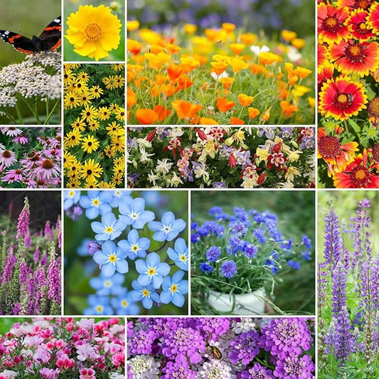Eden Brothers Deer Resistant Wildflower Mixed Seeds for Planting, 25 lb, 12,000,000+ Seeds with Foxglove, Forget Me Not | Attracts Pollinators, Plant in Spring or Fall, Zones 3, 4, 5, 6, 7, 8, 9, 10